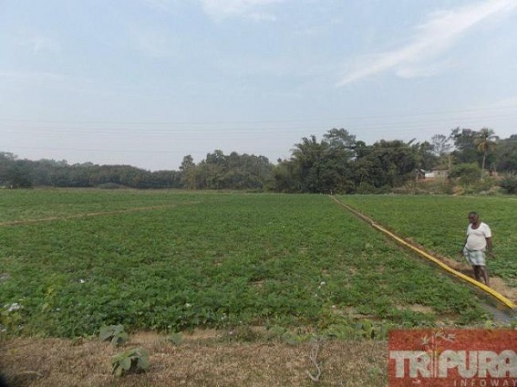 Farmers arranging irrigation for cultivation at their own cost : Promise of late Bimal Sinha forgotten by the present leadership Farmers arranging irrigation for cultivation at their own cost : Promise of late Bimal Sinha forgotten by the present leadership